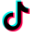 TikTok icon